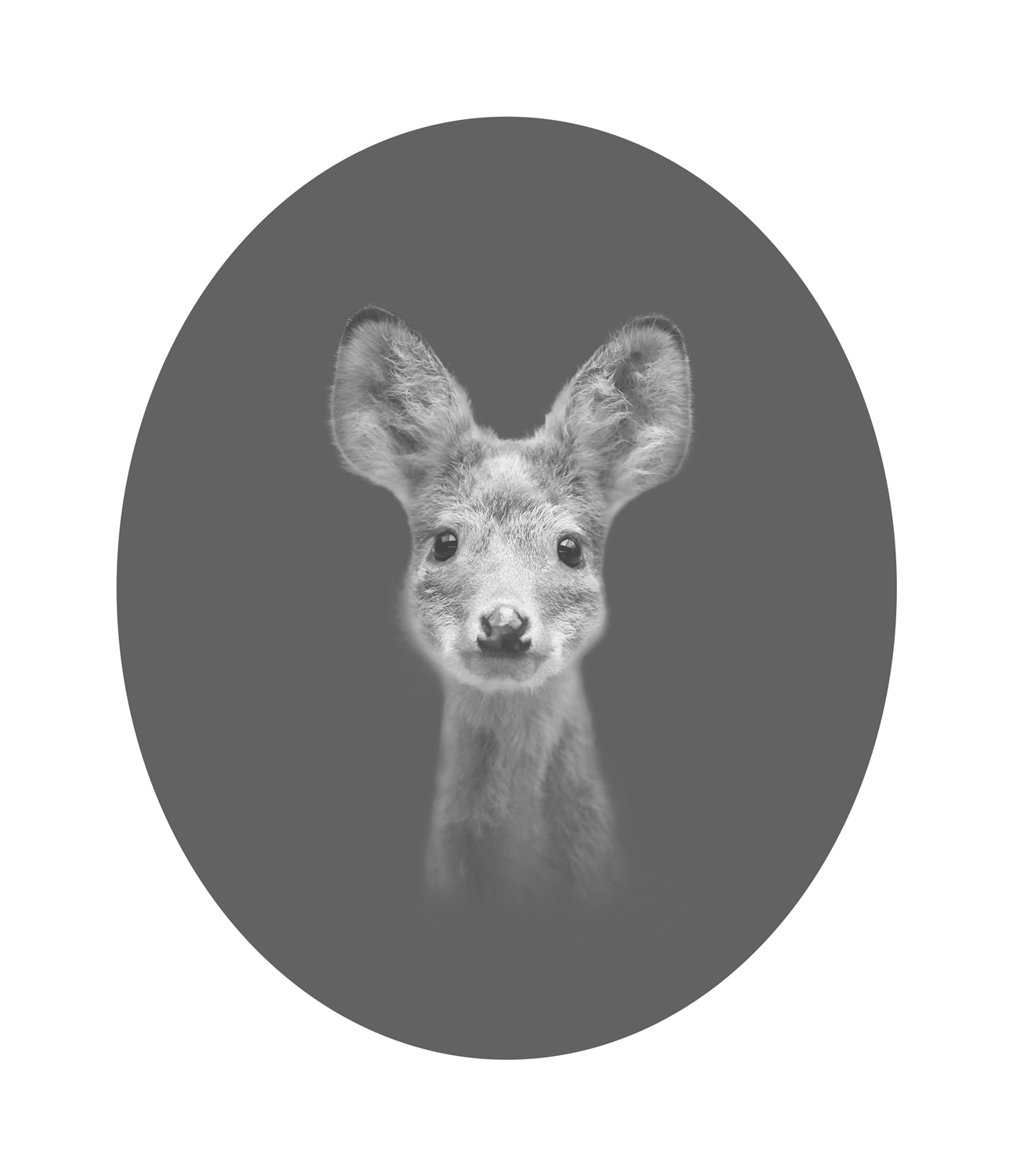 라니 08
