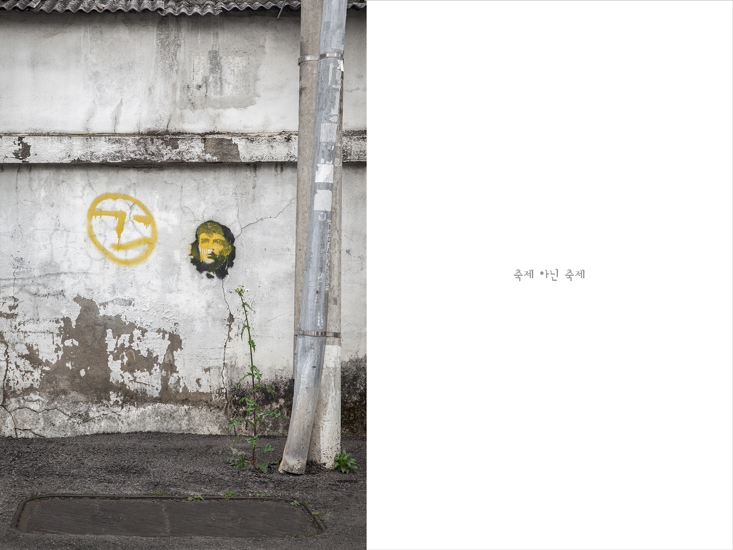 묻고, 묻지 못한 이야기